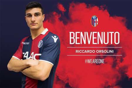 这类团队的 这类团队的